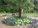 Le jardin de plantation, Norwich