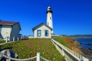 Le phare de Pigeon Point, Californie