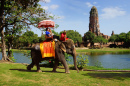 Eléphant à Ayutthaya, Thaïlande
