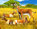 Antilopes au Kenya