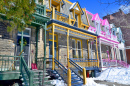 Maisons colorées de Montréal
