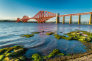 Pont Firth of Forth, Ecosse