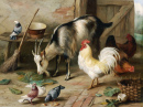 Une chèvre, une poule et des colombes dans une étable