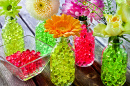 Fleurs dans des vases et des bulles hydro