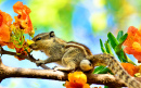Écureuil volant sur un arbre en fleurs