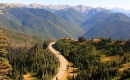 Route vers Hurricane Ridge