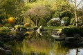 Jardins de Kyoto, Londres