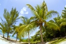 Iles de Grand Cayman