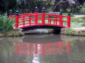Jardin japonais