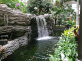 Cascade de l'hôtel Orlando Gaylord Palms