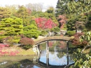 Jardin impérial de Katsura