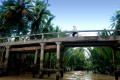 Vieux pont du delta du Mékong