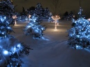 Lumières de Noël au Parc Chinguacousy