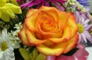 Une Rose Orange