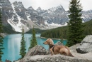 Un chien de chasse dans les montagnes Canadiennes