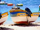 Barques à Carvoeiro