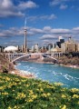 Toronto à l'horizon et la rivière Niagara
