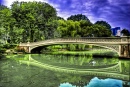 Pont Bow, Central Park, New York