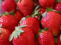 Fraises