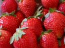 Fraises