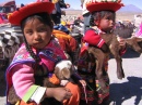 Enfants Péruviens avec des agneaux