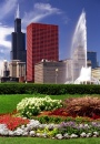 Chicago Fleurs au Parc Grant