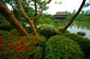 Jardins du temple Rokuon-ji