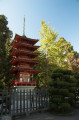 Jardin japonais