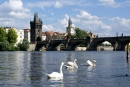 Pont Charles, Prague