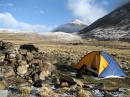 Camping au Tibet