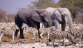 Parc National d'Etosha, Namibie