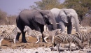 Parc National d'Etosha, Namibie