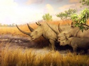 Rhinocéros rembourré