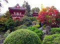 Jardin de thé japonais