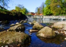 Rivière Dodder Weir, Dublin