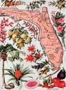 Floride, L'Etat de Everglade