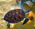 Tortue de mer