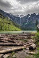 Lac Avalanche, Parc National de Glacier