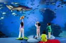 Enfants à l'aquarium de Palma, Espagne