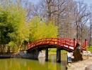 Pont Japonais, Jardin Botanique de Memphis
