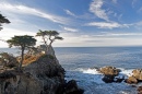 Lone Cypress, Monterey, Californie