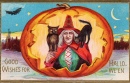 Meilleurs voeux pour Halloween