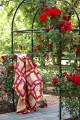 Kaffe dans le jardin de roses