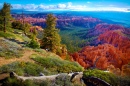 Parc National de Bryce Canyon, Utah