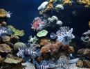 Aquarium de Palma, Espagne