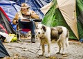 Chien en laisse chez l'occupant