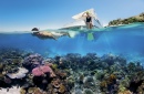 Snorkelling sur la grande barrière de corail