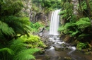 Chutes de Hopetoun, Parc National d'Otway, Australie