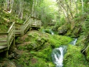 Chemin de randonnée pédestre des chutes de Dickson, Parc National de Fundy, Canada