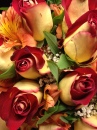 Un Bouquet de roses